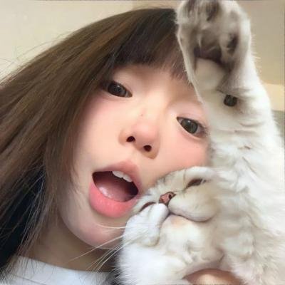 爱情诡计